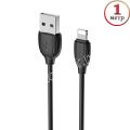 Дата-кабель для Apple Lightning 1м Borofone BX19 Benefit (черный)