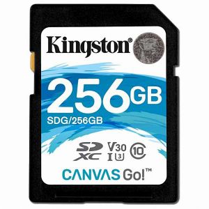Карта памяти SDXC Kingston Canvas Go! SDG/256GB (256GB)